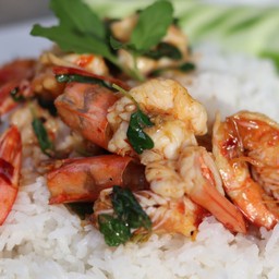 กระเพรากุ้ง