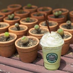 Baantonmai Coffee