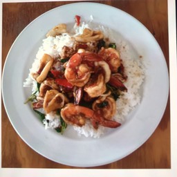 กระเพราทะเล