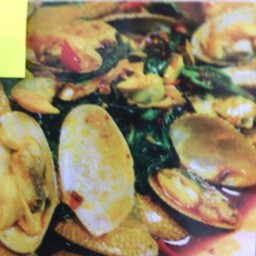 หอยลาย