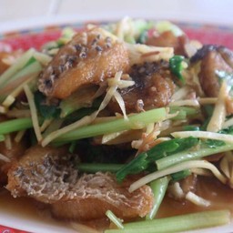 ปลากะพงผัดขึ้นฉ่าย