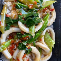 ข้าวราดผัดคะน้าหมึก