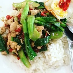 คะน้าไก่