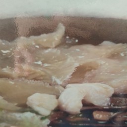 ฉลามนำ้แดง.     L