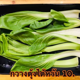 กวางตุ้งไต้หวัน
