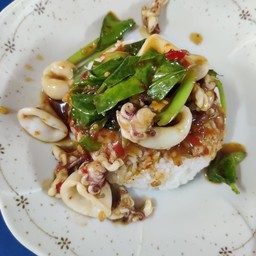 ปลาหมึกคะน้าราดข้าว
