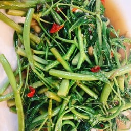 ผัดกะเฉดไฟแดง