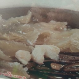 ฉลามนำ้แดง. M