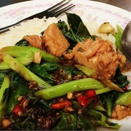 คะน้าปลาทูน่า