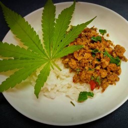 กระเพราสิ้นคิด...