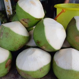 มะพร้าวบนดวงจันทร์ / On-the-moon Coconut