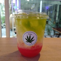 ใบกัญชาคั้นสด Tonmoo Salaya by Opor