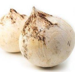 มะพร้าวเผา ลูกเล็ก