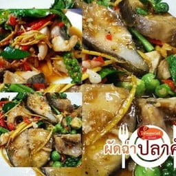 ผัดฉ่าปลาคัง
