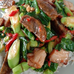 ร้านตามใจนิด มหาวงค์