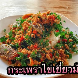 ข้าวกะเพราไข่เยี่ยวม้า