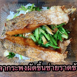 ปลากระพงผัดขึ้นช่ายราดข้าว