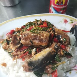 ข้าวราดผัดกะเพราปลากระป๋อง