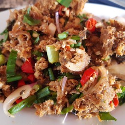 ลาบปลาดุก