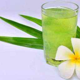 น้ำวุ้นใบเตย