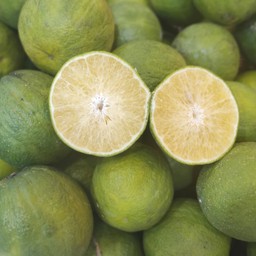 ส้มเช้งสวน 1 กิโลกรัม