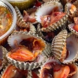 หอยแครงลวก