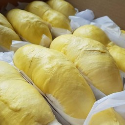 ทุเรียนหมอนทองพรีเมียม ครึ่งกิโล