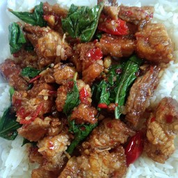 ผัดกะเพราราดข้าว