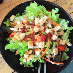 ซีซ่าสลัด