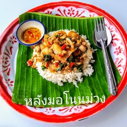 กะเพราถาดหลังมอ โนนม่วง