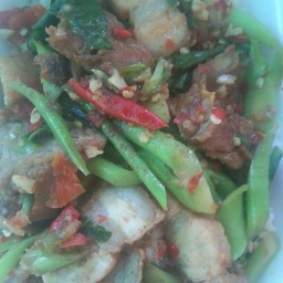 ร้านติ๋ม อาหารตามสั่ง