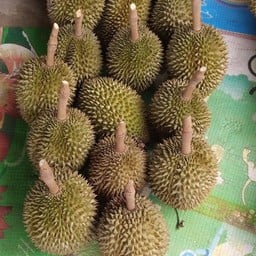 ทุเรียนดีเวอร์ดิลิเวอรี่