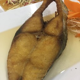 ปลาอินทรีย์สด