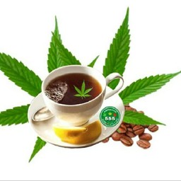 555 มาริฮัวน่า คาเฟ่