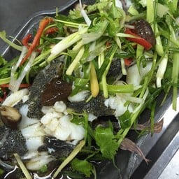 ปลากะพงขาวเป็น-นึ่งบ๊วย