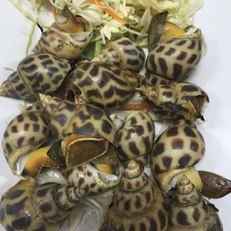 หอยหวานเป็นเผา1โล