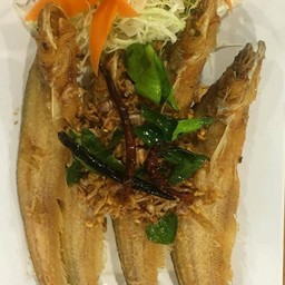 ปลาเนื้ออ่อน