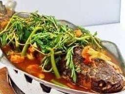 ปลาช่อน