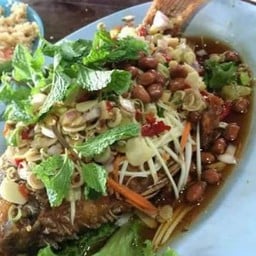 ครัวปลาดอนเมือง