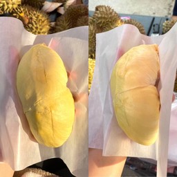 JOOKKU ทุเรียนหมอนทอง