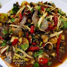 ตำหอยเชอรี่กุ้งสด
