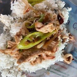 ข้าวผัดพริกหยวกทะเล หรือ รวม