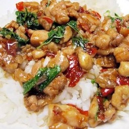 ผัดกะเพราไก่ราดข้าว