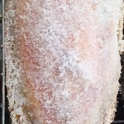 นาคาปลาย่าง ผลไม้