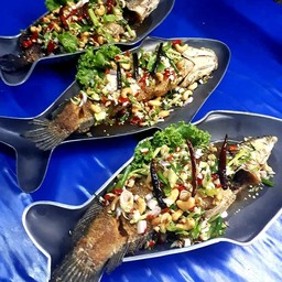 ปลาช่อนลุยสวน