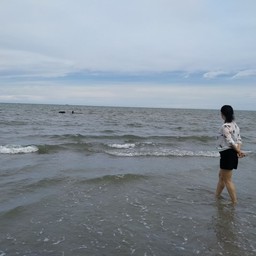 L&Y ของทานเล่น