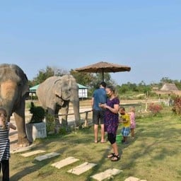 ชิลล์กับช้าง by Elephant Jungle Sanctuary