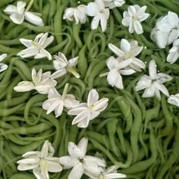 ข้าวแกงแดนใต้ปัตตานี