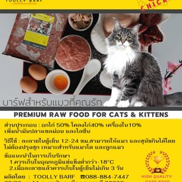 Toolly barf สาขา 1