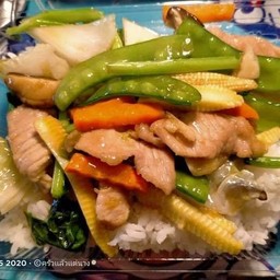 ข้าวราดผัดผักรวม
